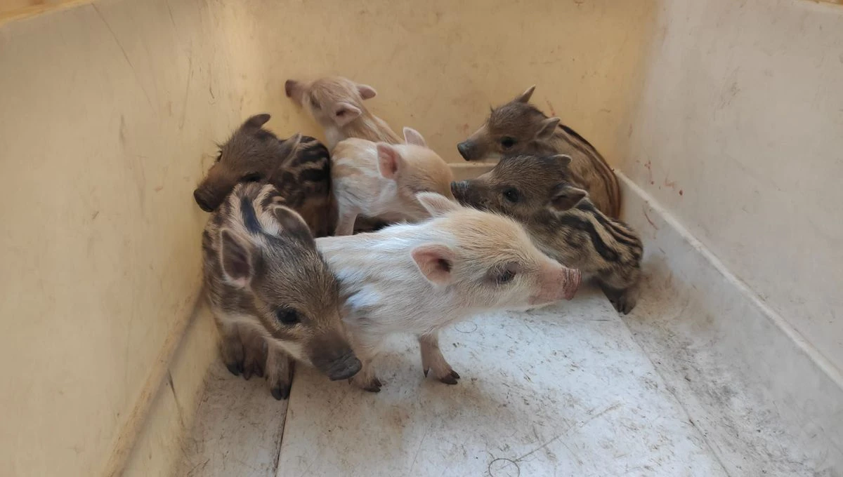 © Radio France – Louis de Bergevin