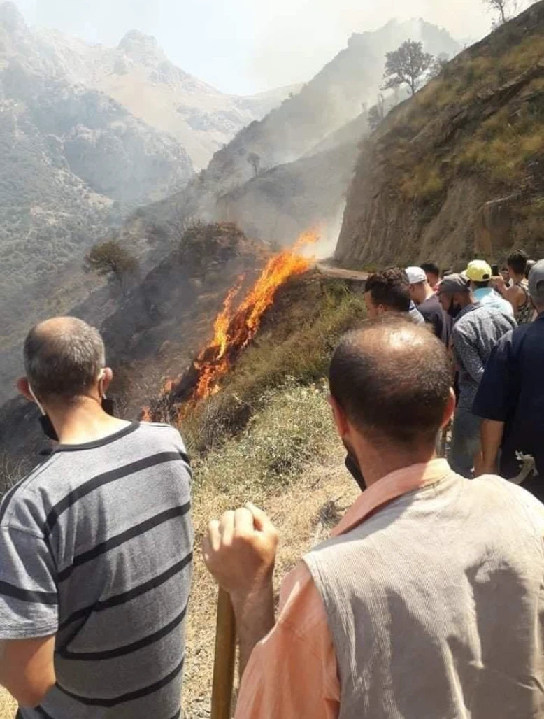Photo prise à Thinzar (Boghni, dans la wilaya de Tizi-Ouzou), les villageois constatent l’arrivée du feu dans leurs terres.