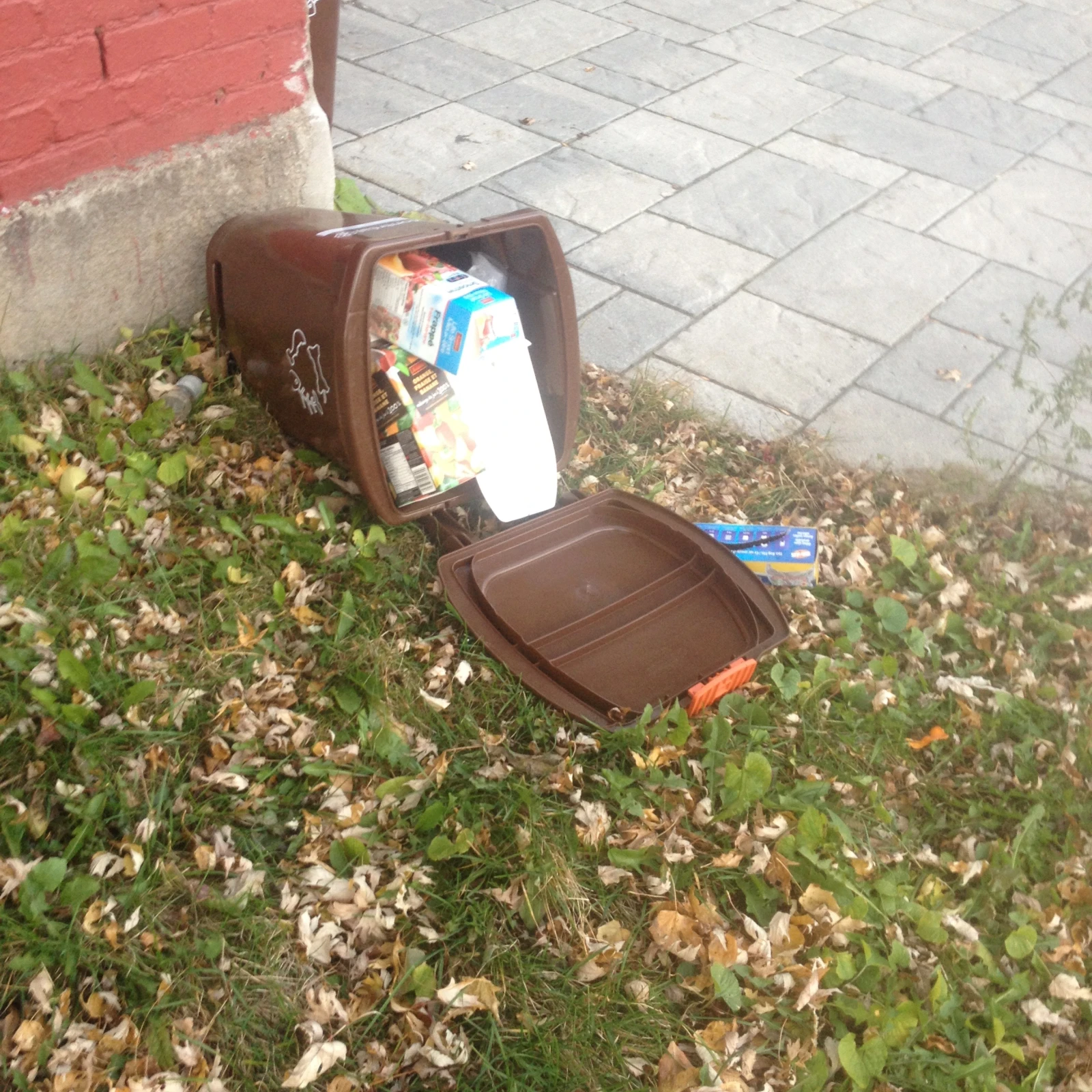 Ce n’est pas du compost, ça. (Oui, mon pauvre entourage reçoit continuellement des photos du genre.)