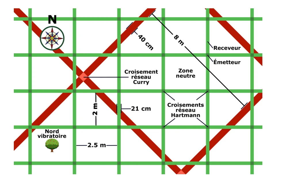 Croisement du réseau Curry illustré