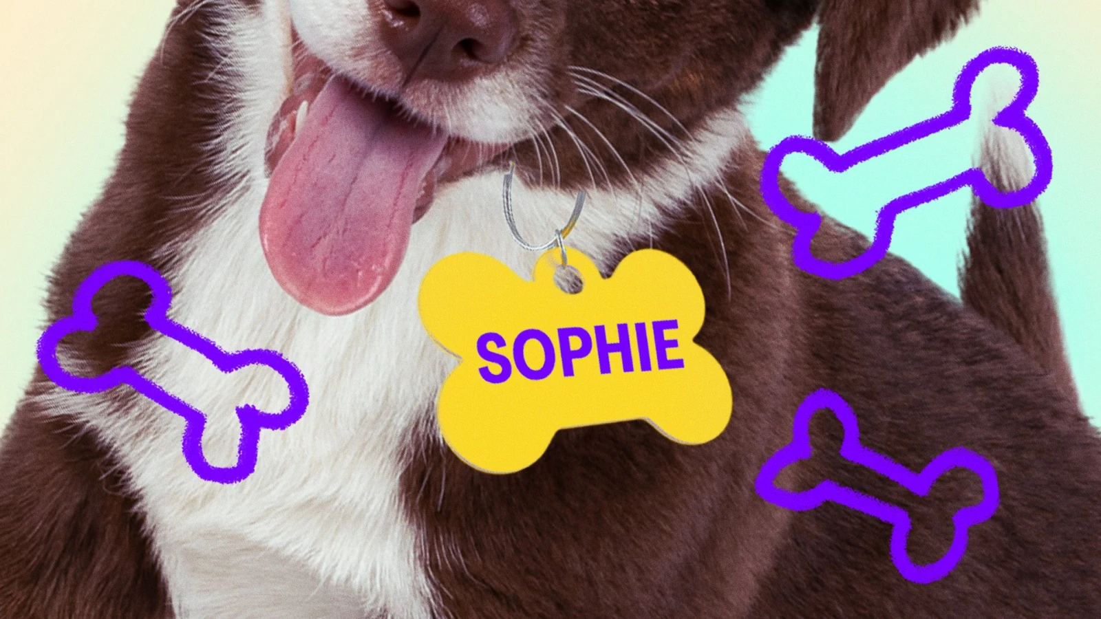 Arrêtez de donner des noms d’humains à vos chiens