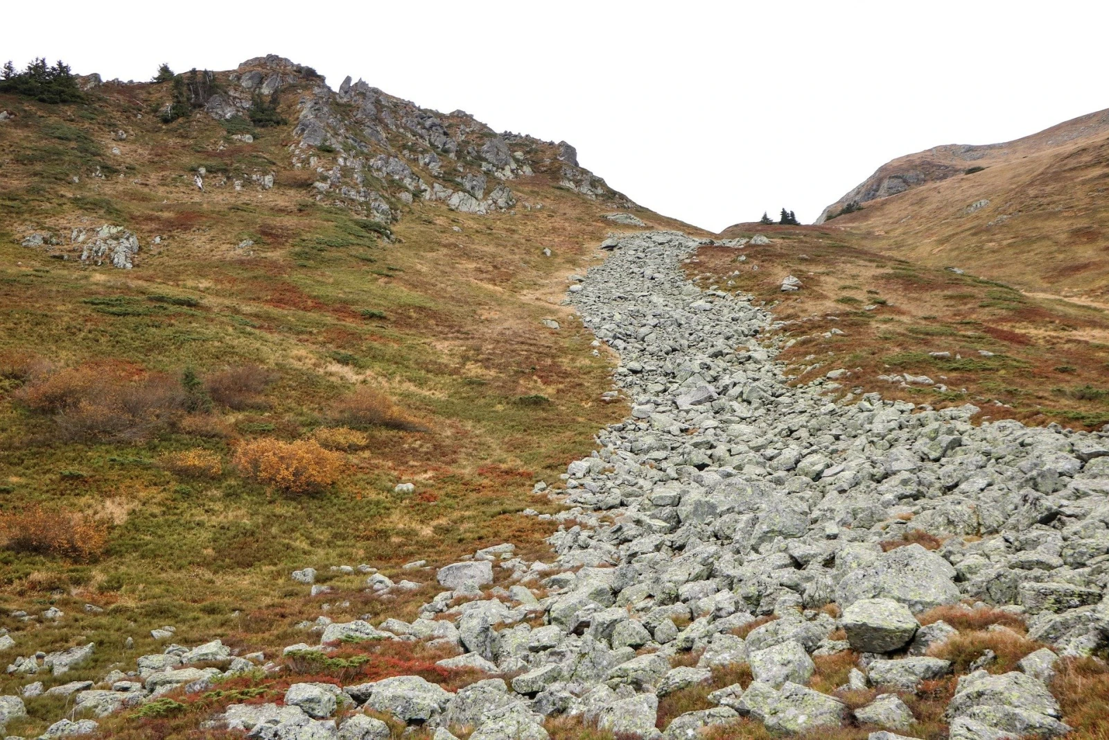Sous vos yeux ébahis, un couloir d’avalanche prêt à accueillir plein d’espèces en week-end spa.