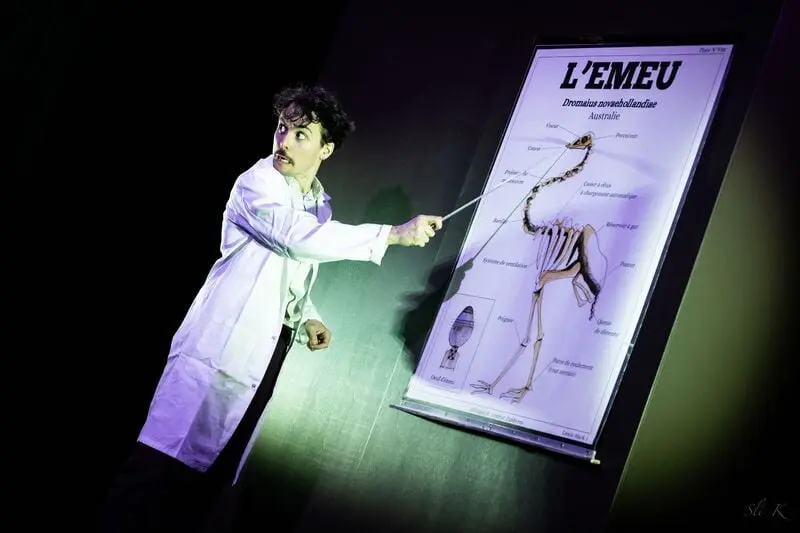 La guerre des émeus